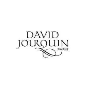 logo david jourquin